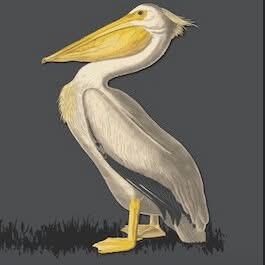 The Pelican | Pamber Heath The Pelican, Pamber Heath